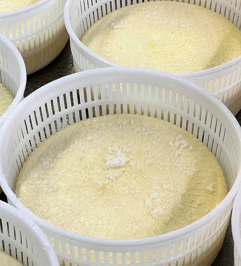 Raclette cheese in molds
